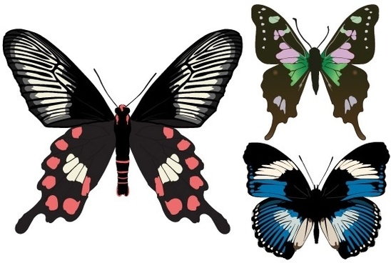 Swallowtail Butterfly svg #19, Download drawings