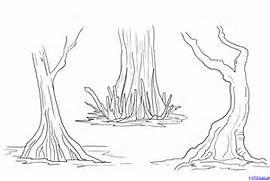 Swamp coloring #11, Download drawings