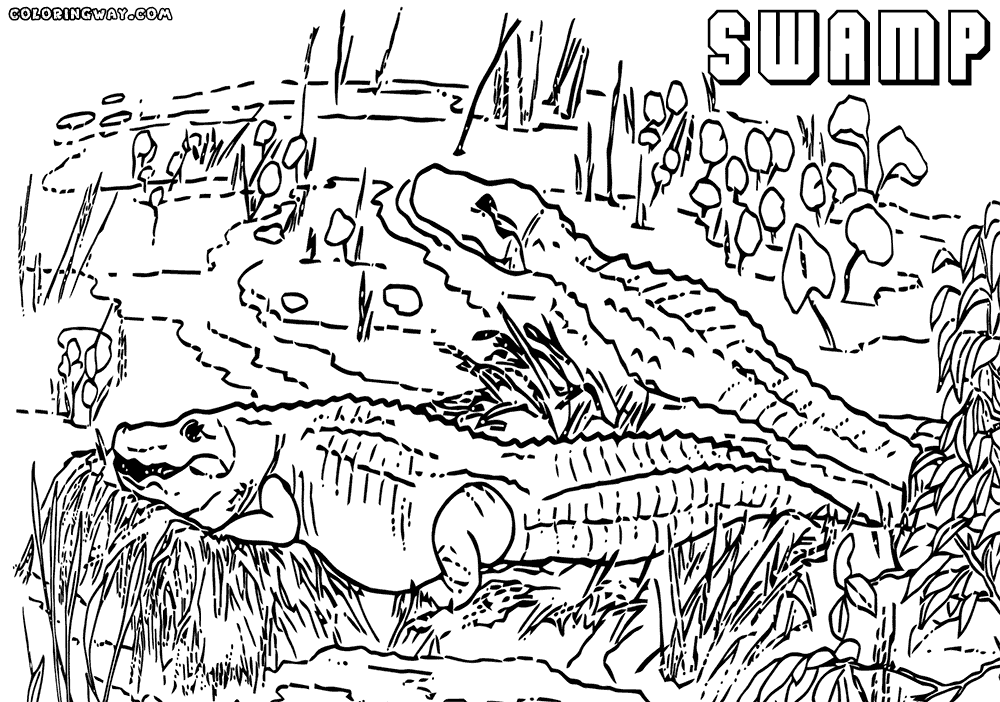 Swamp coloring #10, Download drawings