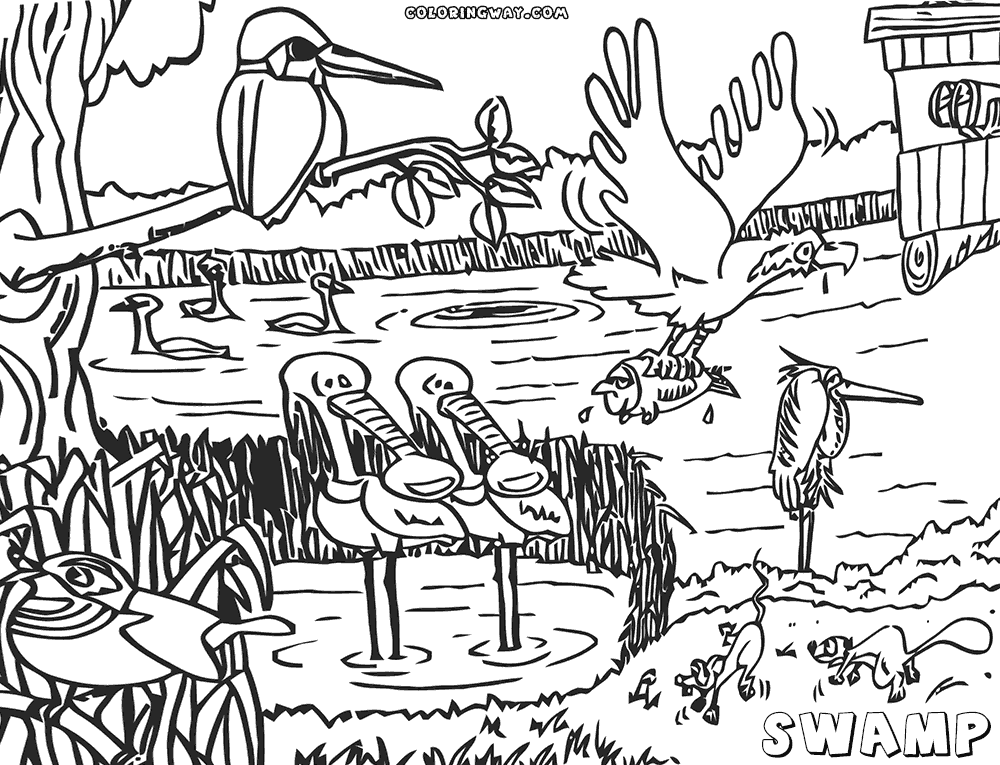 Swamp coloring #9, Download drawings