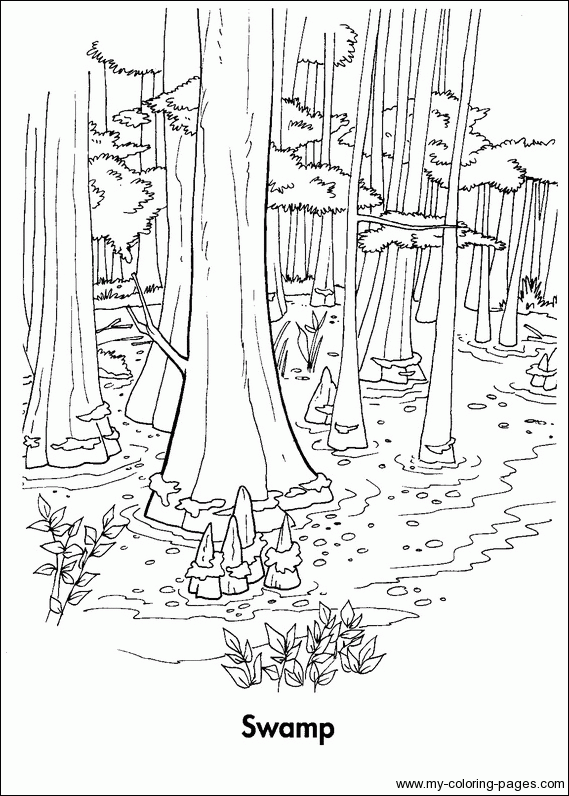 Swamp coloring #13, Download drawings