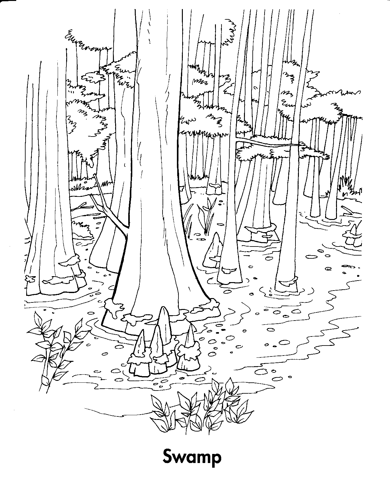 Swamp coloring #12, Download drawings
