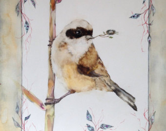Swamp Sparrow svg #7, Download drawings