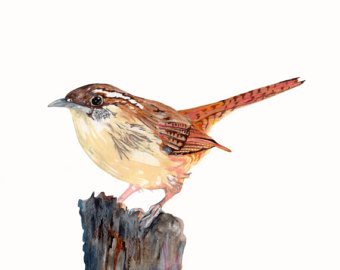 Swamp Sparrow svg #19, Download drawings