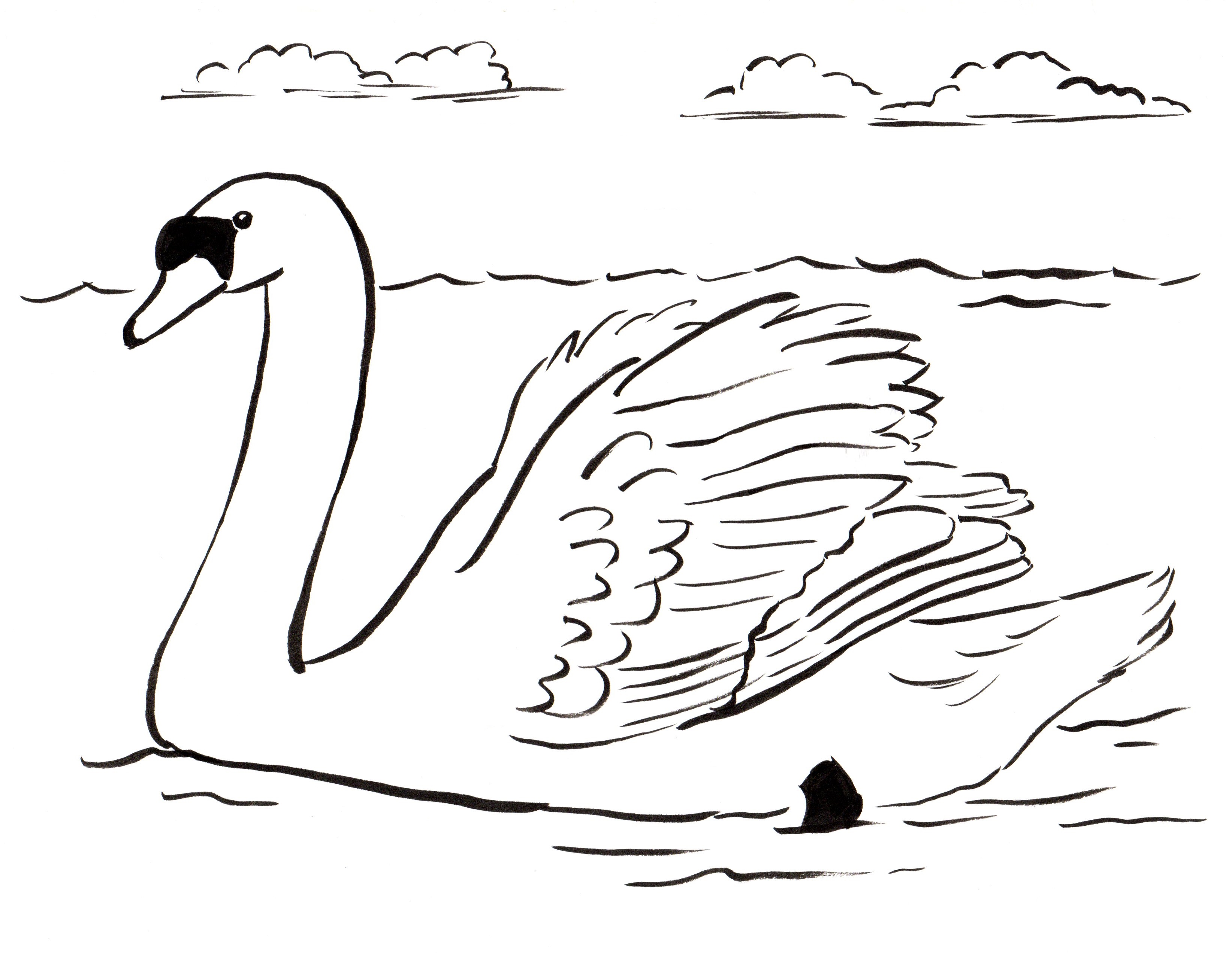 Swan coloring #7, Download drawings
