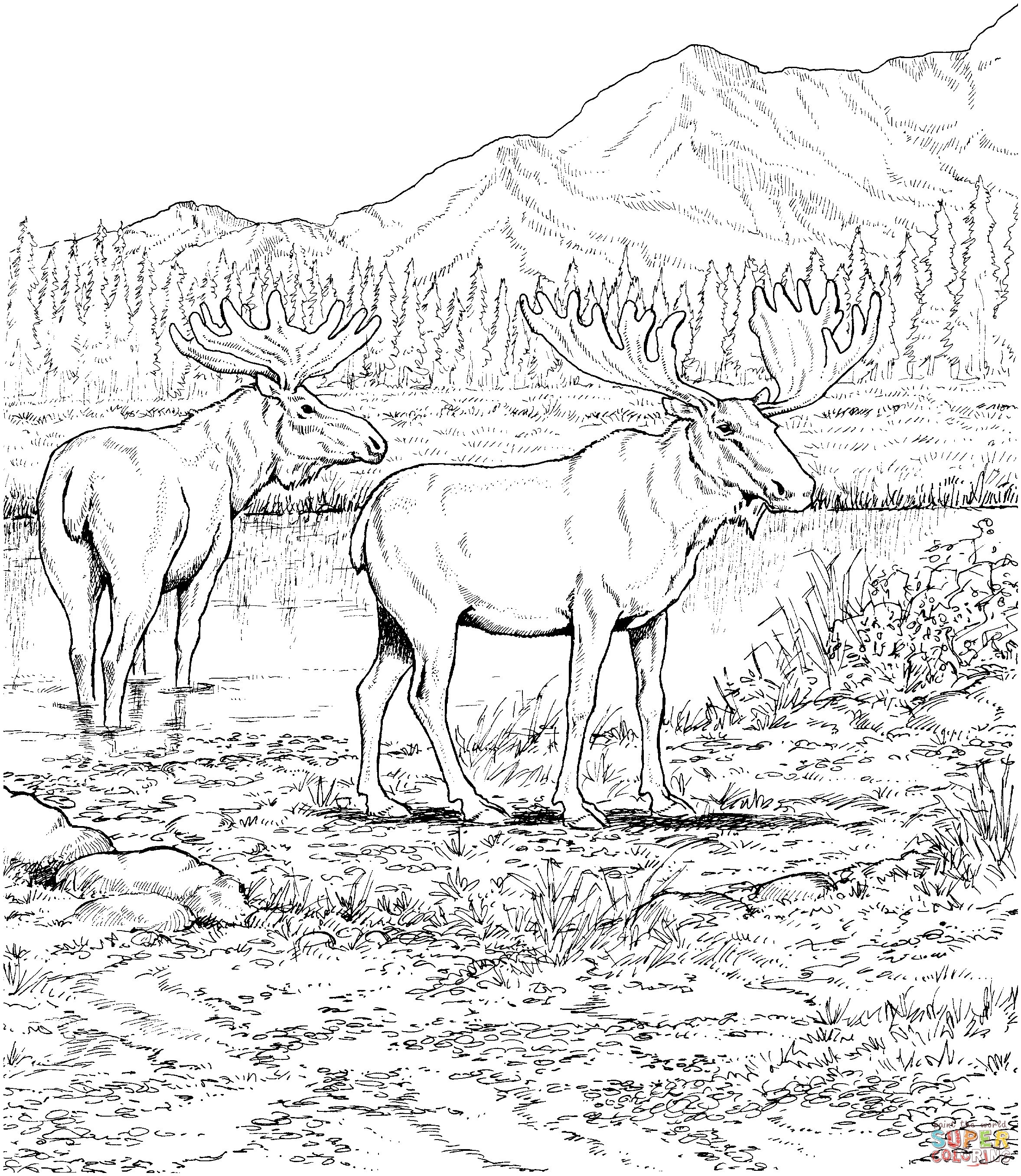 Swedish Moose coloring #1, Download drawings