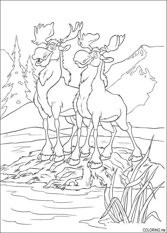 Swedish Moose coloring #17, Download drawings