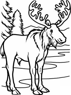 Swedish Moose coloring #19, Download drawings