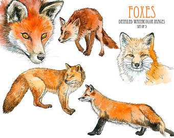 Swift Fox clipart #17, Download drawings