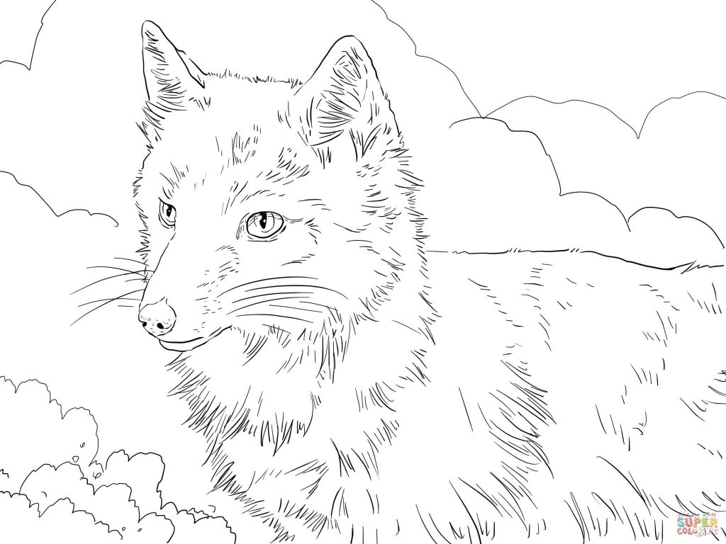 Swift Fox coloring #13, Download drawings