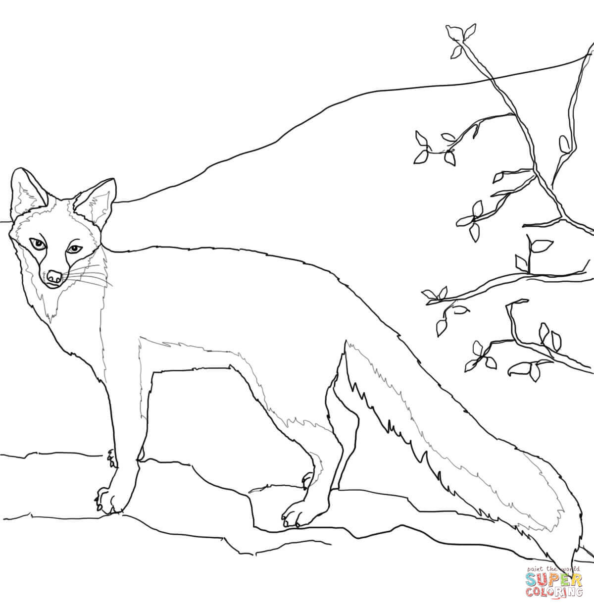 Swift Fox coloring #11, Download drawings