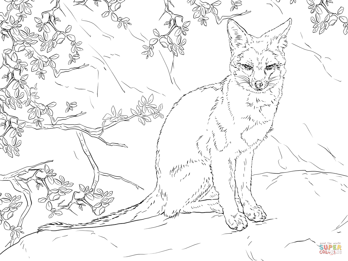 Swift Fox coloring #1, Download drawings