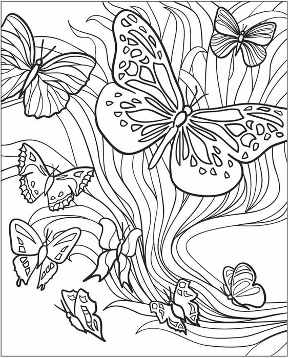 Swift Moth coloring #11, Download drawings
