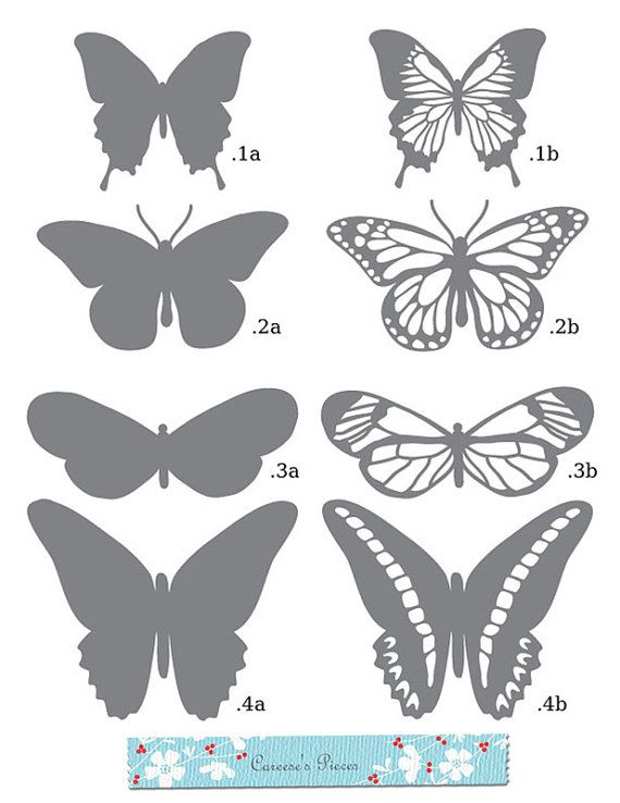 Swift Moth svg #5, Download drawings
