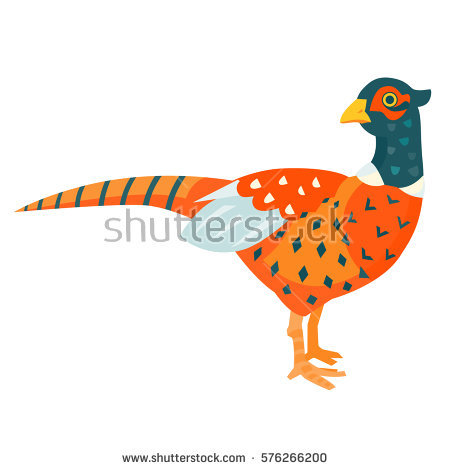 Swinhoe's Pheasant clipart #4, Download drawings