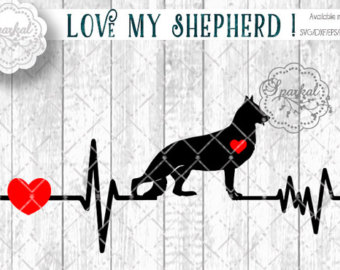 Swiss Shepherd svg #4, Download drawings