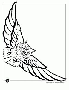 Swooping coloring #1, Download drawings