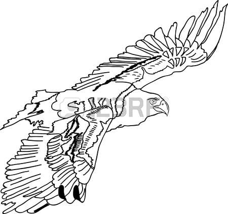 Swooping coloring #6, Download drawings
