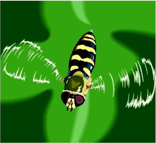 Syrphid Flies coloring #6, Download drawings