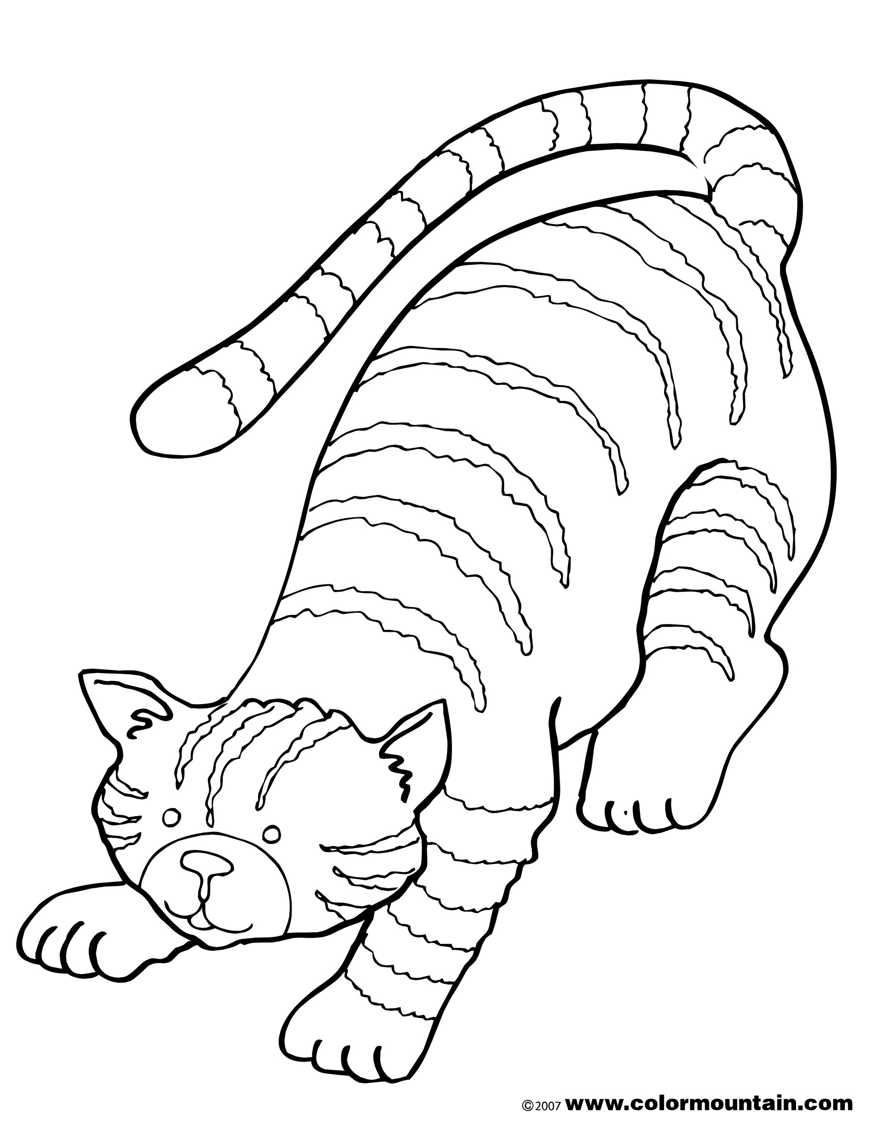 Tabby Cat coloring #13, Download drawings