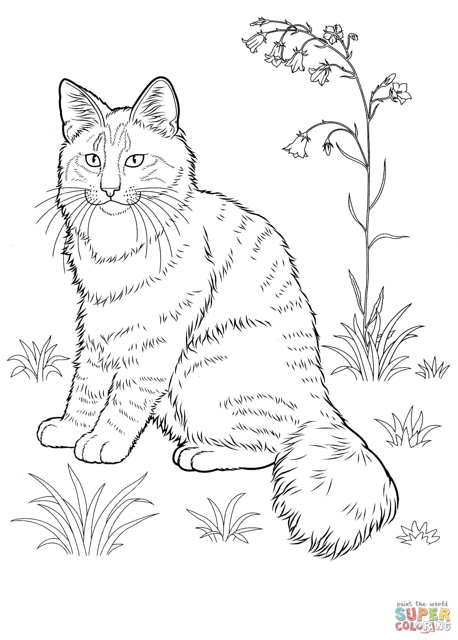 Tabby Cat coloring #10, Download drawings