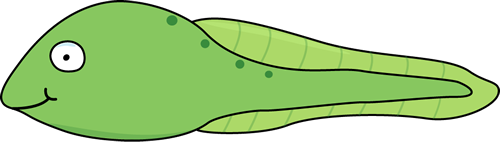 Tadpole clipart #20, Download drawings