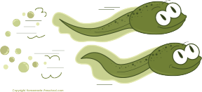 Tadpole clipart #8, Download drawings