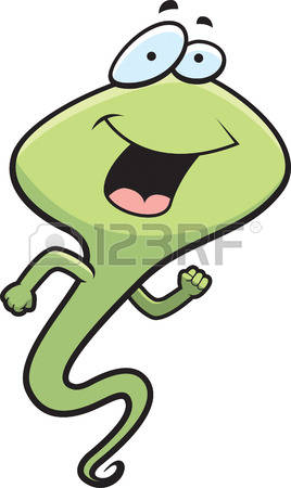 Tadpole clipart #14, Download drawings