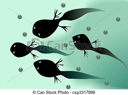 Tadpole clipart #1, Download drawings