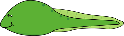 Tadpole clipart #2, Download drawings