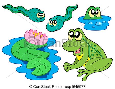 Tadpole clipart #17, Download drawings