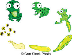 Tadpole clipart #13, Download drawings