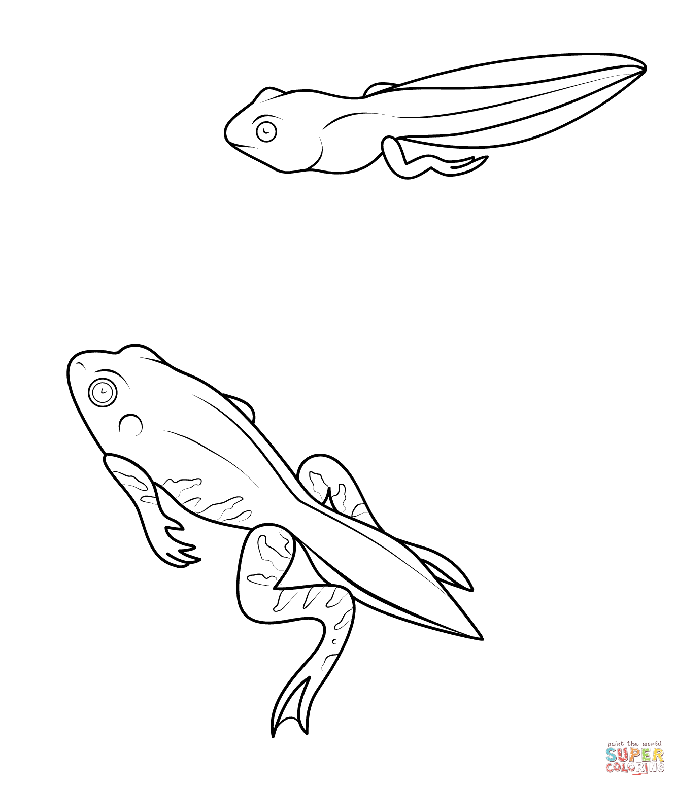 Tadpole coloring #13, Download drawings