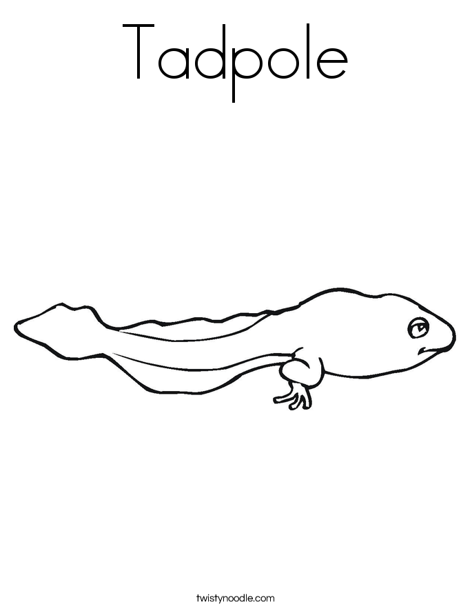 Tadpole coloring #19, Download drawings