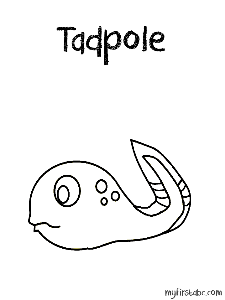Tadpole coloring #11, Download drawings