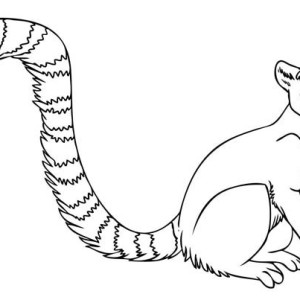 Tail coloring #4, Download drawings