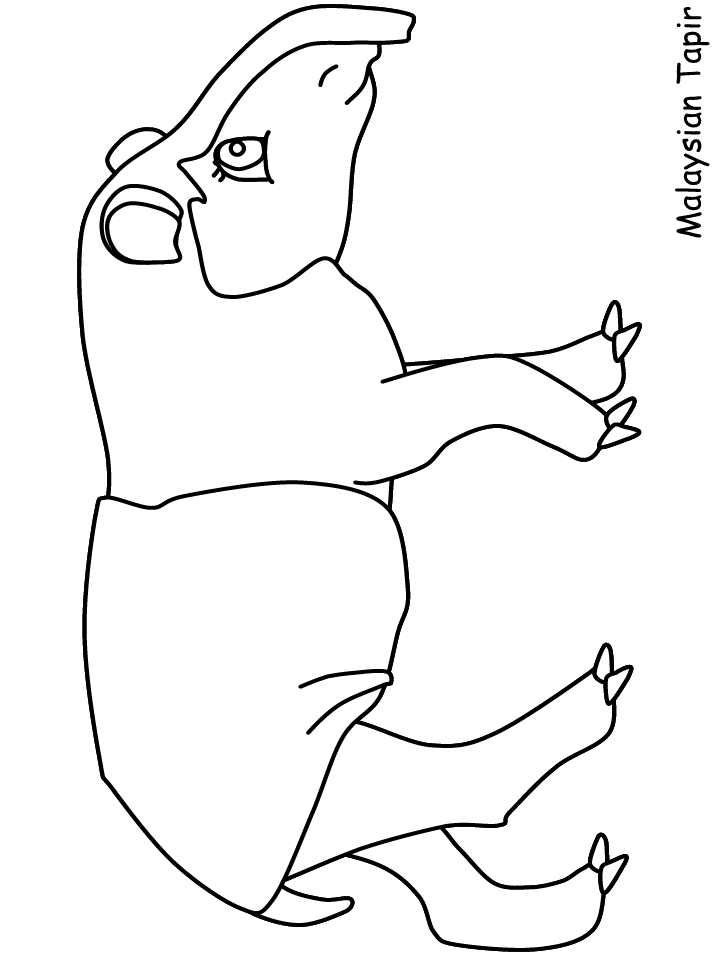 Tapir coloring #11, Download drawings