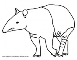 Tapir coloring #4, Download drawings