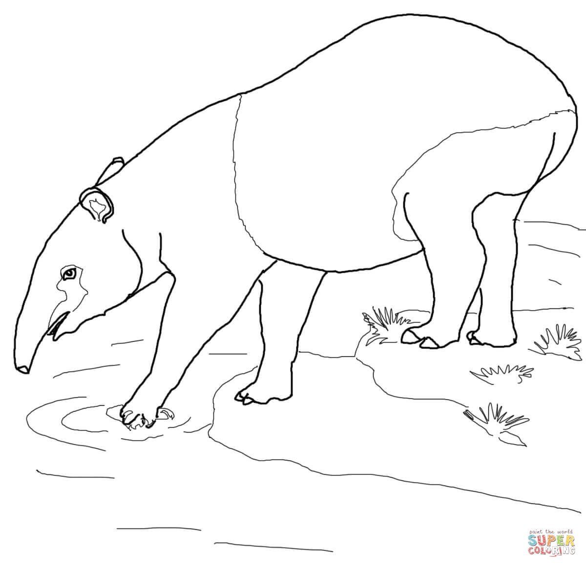 Tapir coloring #16, Download drawings