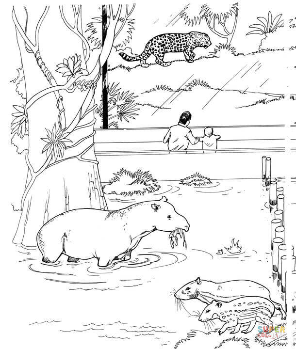 Tapir coloring #2, Download drawings