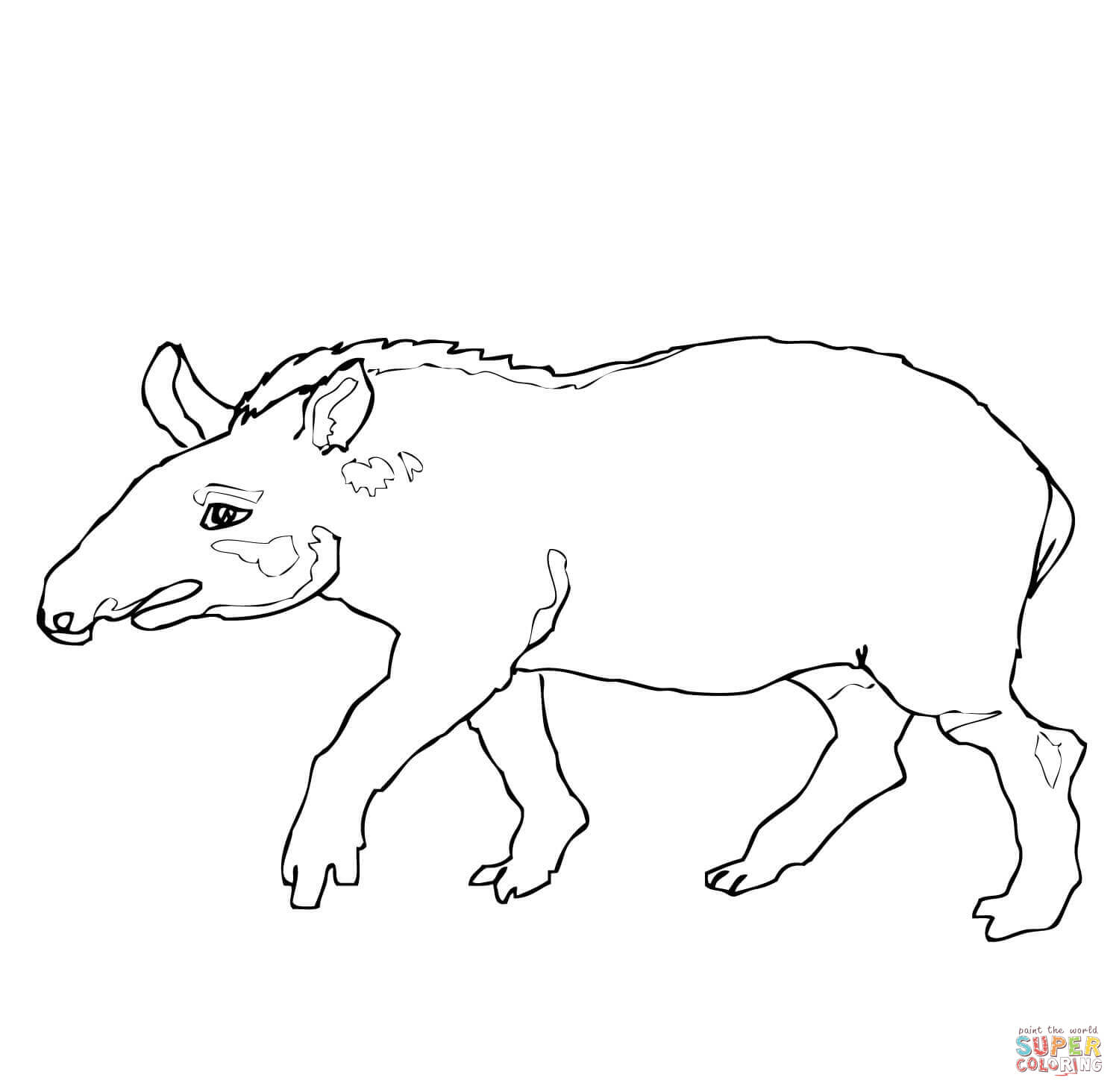Tapir coloring #13, Download drawings
