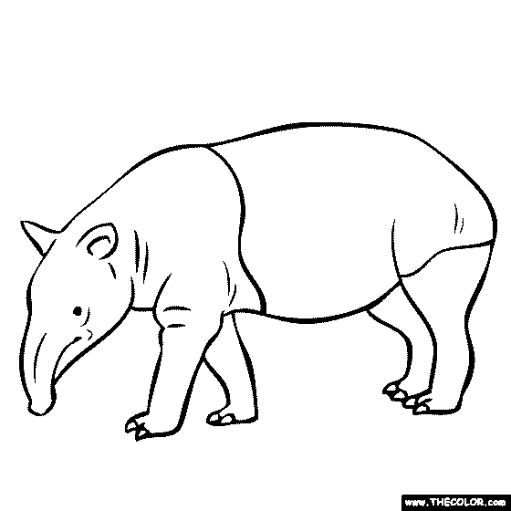 Tapir coloring #20, Download drawings