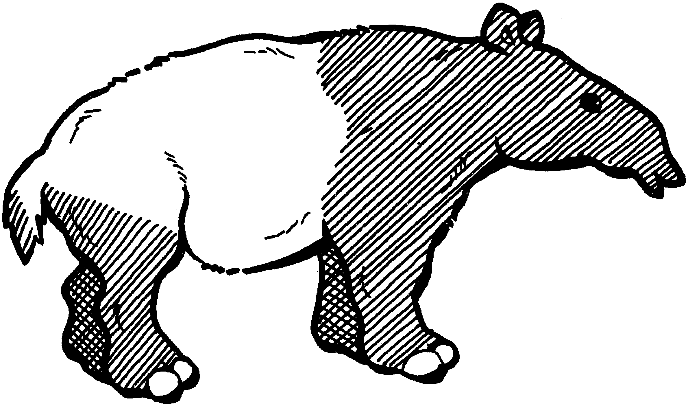 Tapir coloring #14, Download drawings
