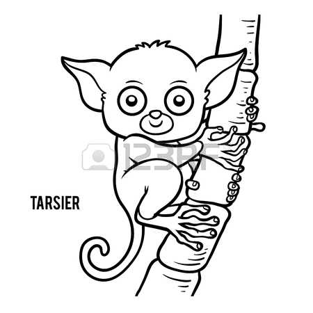 Tarsier coloring #10, Download drawings