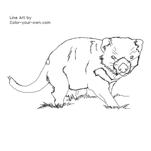 Tasmanian Devil coloring #20, Download drawings