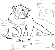Tasmanian Devil coloring #18, Download drawings