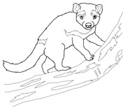Tasmanian Devil coloring #17, Download drawings