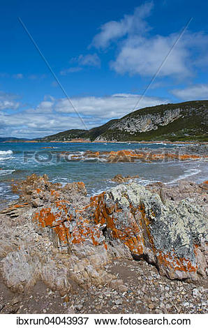 Tasmanian Sea clipart #15, Download drawings