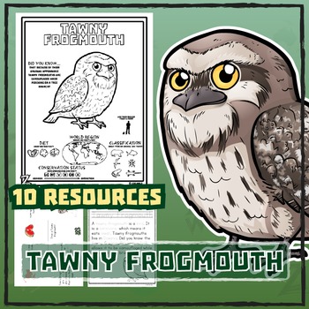 Tawny Frogmouth coloring #19, Download drawings