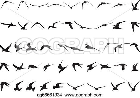 Terns clipart #8, Download drawings